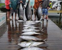 va beach tuna fishing 3 20200619
