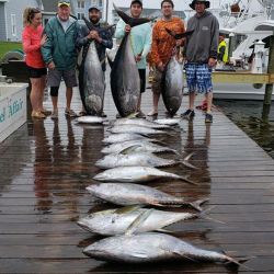 va beach tuna fishing 3 20200619
