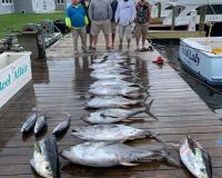 va beach tuna fishing 4 20200619