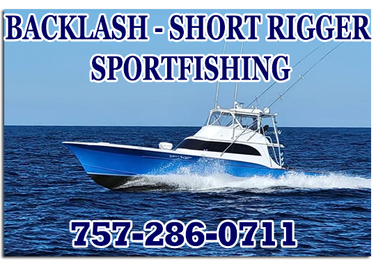 Home  Backlash Sportfishing - OuterBanks / Virginia beach Fishing