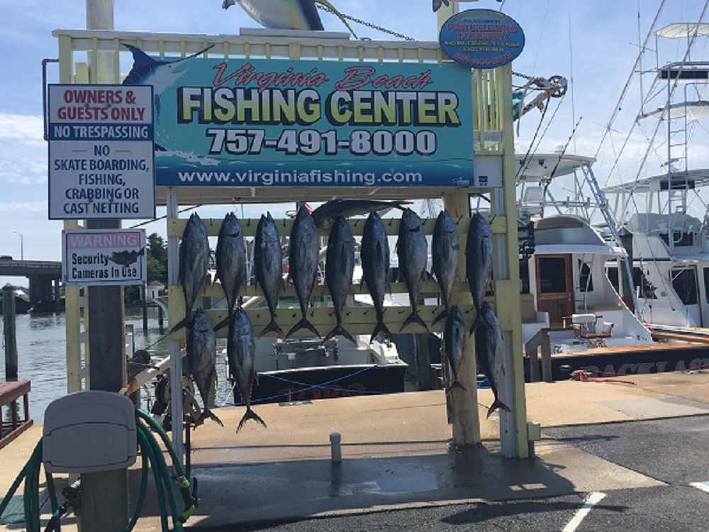 VA Beach Tuna Fishing